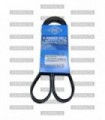 Correa de ventilador alternador (4PK800) JAPÓN