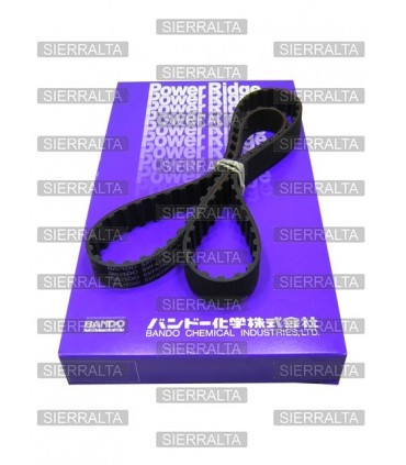 Correa distribucion JAPON