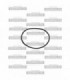 Oring grande caja distribuidor INDIA