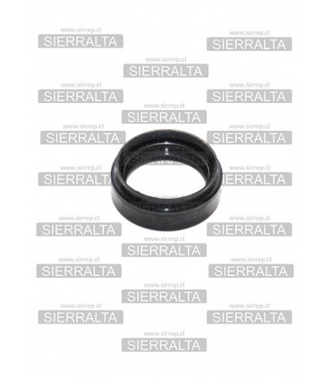 Reten (32X42X10X15) salida tapa caja cambio JAPON