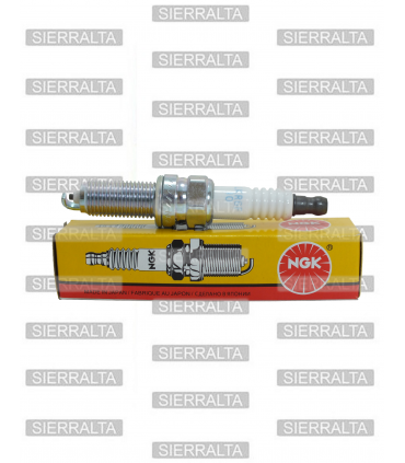 Bujia NGK LKR6
