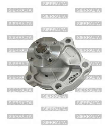 Bomba de agua TOP-GEAR