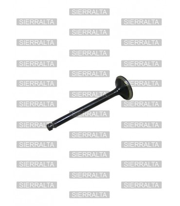 Valvula de admision ORIGINAL