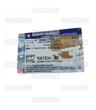 Mascara Radiador Original